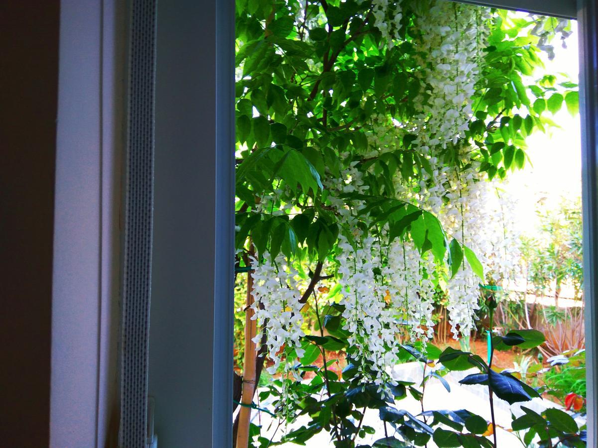 ApartHotel Viola Pjescana Uvala Exterior foto