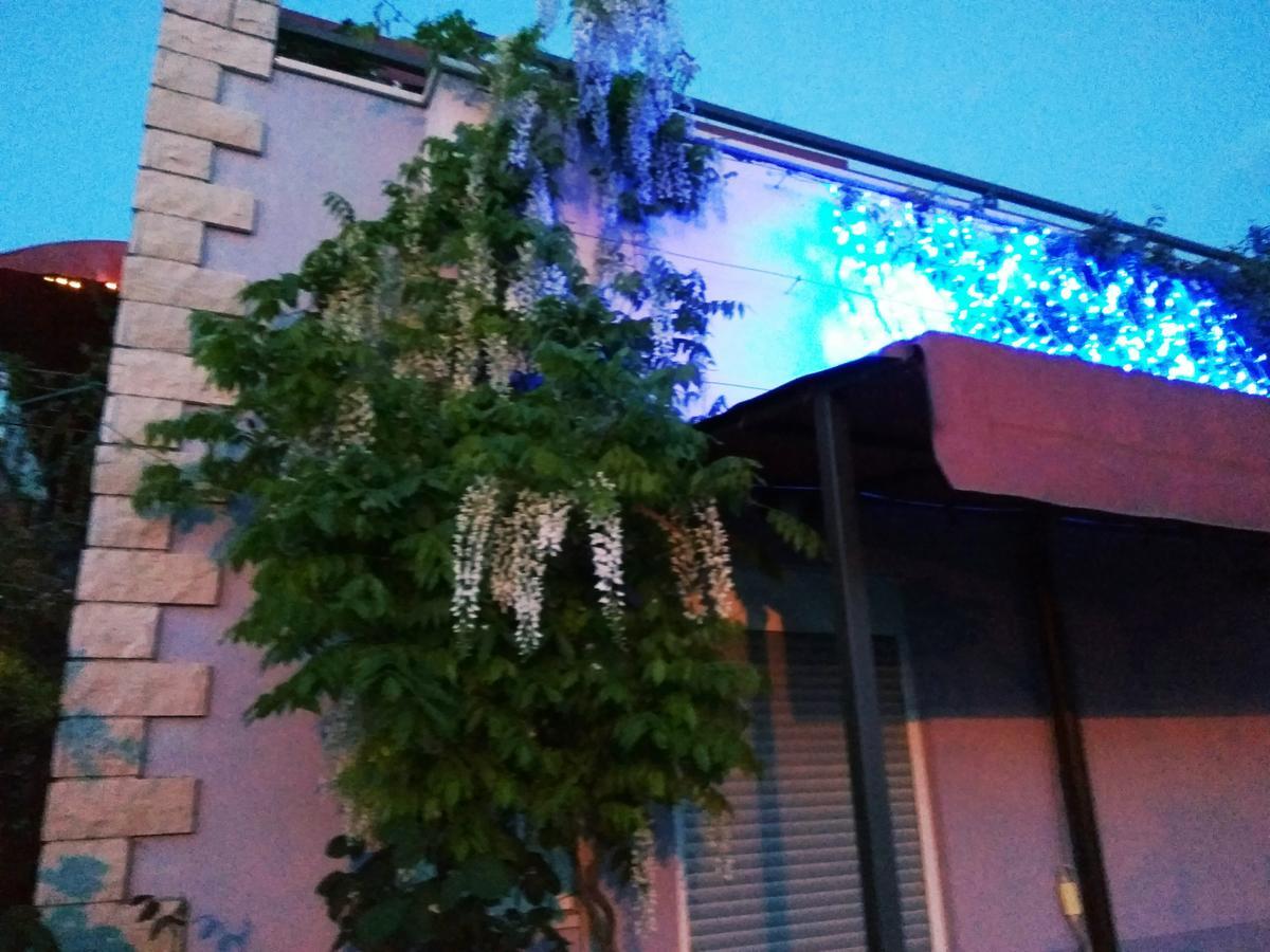 ApartHotel Viola Pjescana Uvala Exterior foto