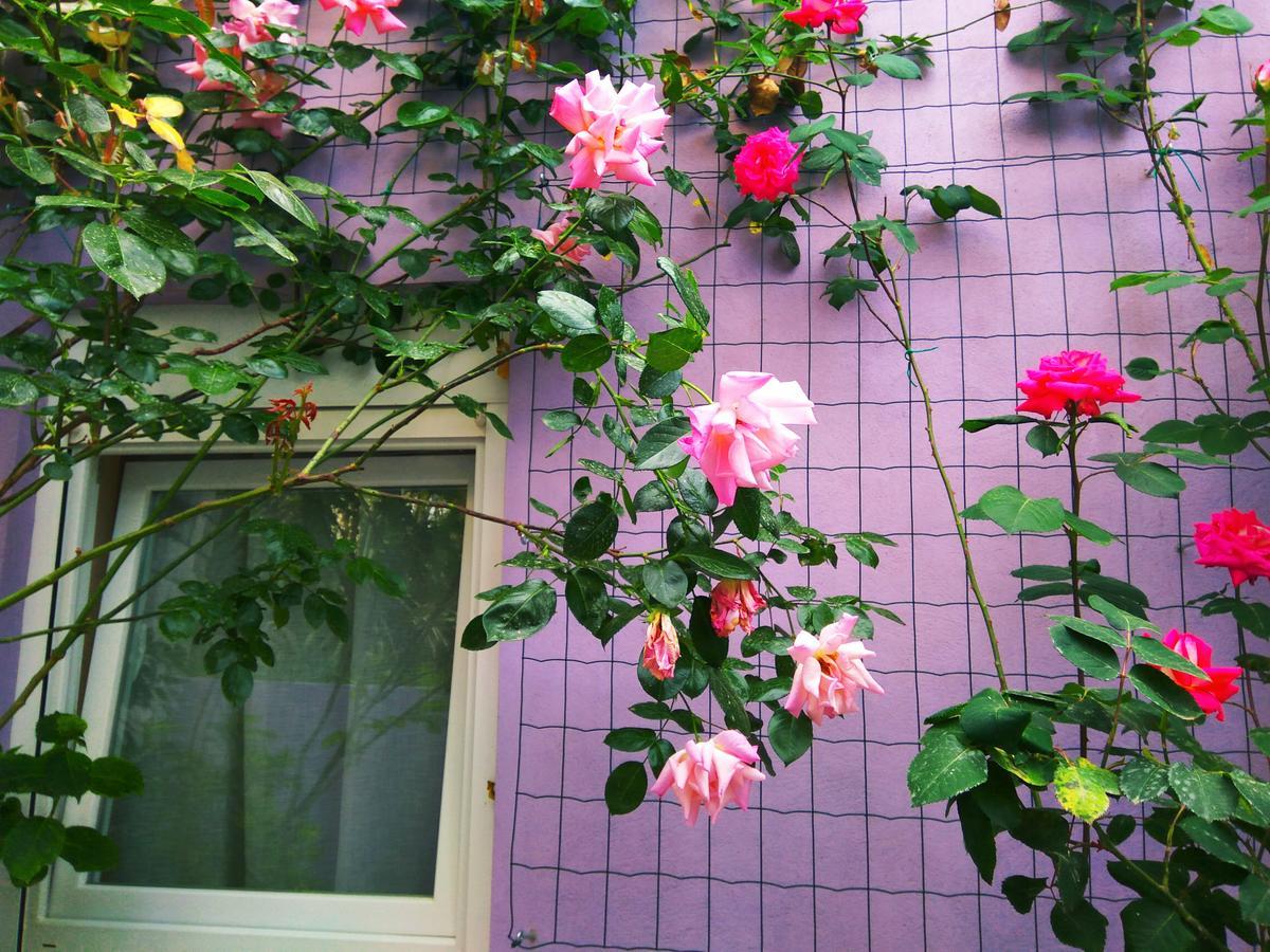 ApartHotel Viola Pjescana Uvala Exterior foto